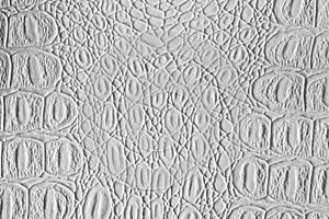 White crocodile leather texture