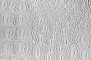 White crocodile leather texture