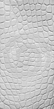White crocodile leather texture photo