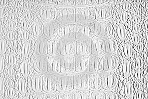 White crocodile leather texture. Abstract backdrop for design with copy space for a text