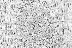 White crocodile leather texture. Abstract backdrop for design with copy space for a text