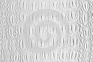 White crocodile leather texture. Abstract background for design with copy space for a text