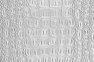 White crocodile leather texture. Abstract background for design with copy space for a text