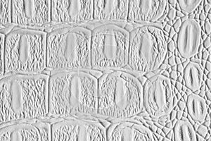 White crocodile leather texture