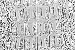 White crocodile leather texture