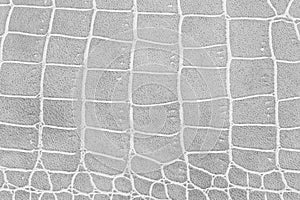 White of crocodile patterned artificial leather