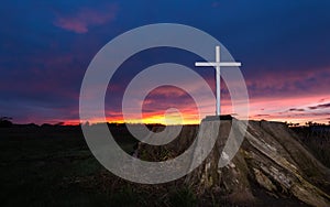 White Cross Tree Stump