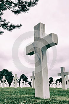 White crosses in American Cemetery
