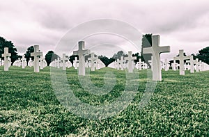 White crosses in American Cemetery photo