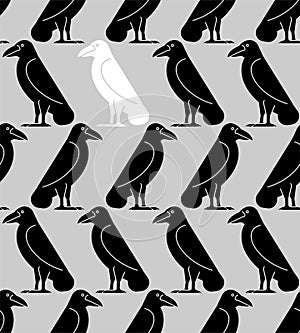 White crow among black crows Pattern seamless. ravens Background