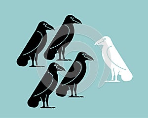 White crow among black crows. Vector illustration
