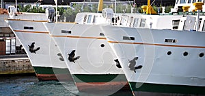 White cruise ship ferry transport, Sirkeci Istanbul Turkey