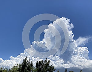 White cumulous clouds