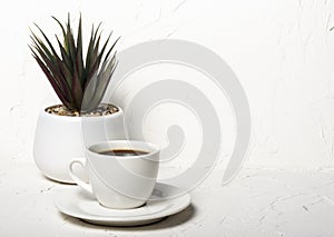 White cup with black aromatic coffee on a white abstract background with a potted flower in the background with a copy of the