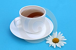 A white cup of chamomile tea stands on a blue background.
