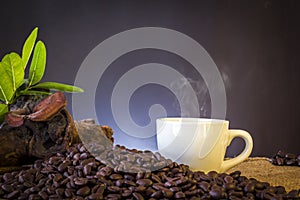 White cup and coffee beans and dark background