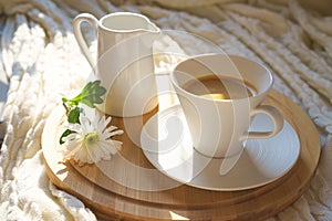 White cup of coffee with cozy knitted plaid on a wooden desk and with white flower