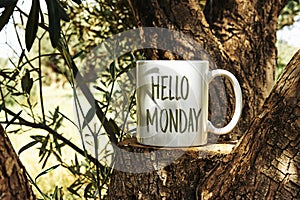 Bílý pohár z káva ahoj pondělí na strom kufr dřevo stupínek přes olivy strom 