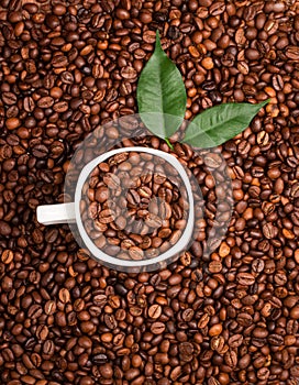 White cup full of coffee beans on Roasted Coffee Beans background