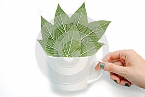 white cup full of leaves with female hand