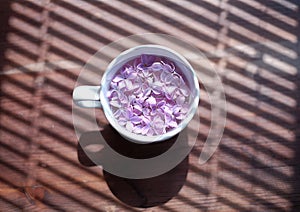 White cup full of lilac flowers in over blinds shadow texture