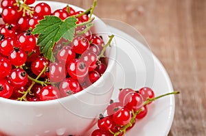 White cup full of red berries/white cup full of red berries on a wooden background. Close up