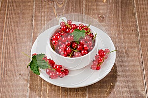 White cup full of red currant/white cup full of red currant on a