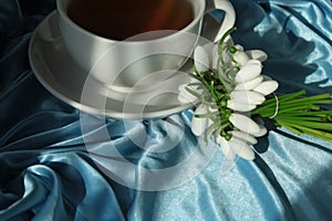 A white cup with green tea on a saucer and a small bouquet of spring white snowdrops, tied with a ribbon. Rustic still life