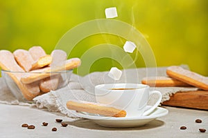 White cup of hot aromatic coffee with steam and falling sugar cubes. Traditional italian savoiardi biscuits or ladyfingers cookies
