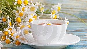 White cup of hot chamomile tea and a bouquet of Matricaria chamomilla on a blue wooden background