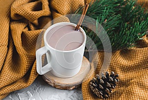 White Cup of Hot Chocolate, Yellow Plaid, Cone, Pine Branch, Fir Tree, Gray Background, Autumn Concept, Winter, Cosiness, Instagr