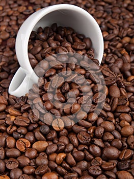 A white cup with many coffee beans