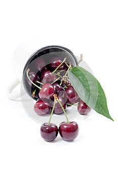 White cup with ripe berries of red sweet cherry and several berries in front of the cup. Composition on white