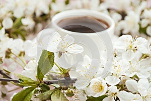 White cup with a saucer of brewed coffee in hand, spring flowers on a pink background. Place for text. Romantic mood. Card. The be