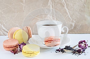 White cup of tea, french macaroons in pastel colors, dry tea, rose flowers on the white table.