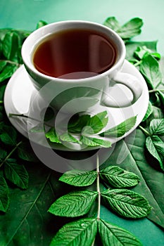 White cup of tea with green sprig and leafs on green background
