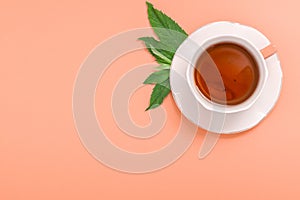 White Cup of tea and saucer with mint leaves on a bright background. top view