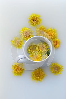 White cup and yellow dandelion flowers on a white background