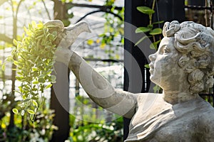 White cupid statue holding a bird on the hand in the green garden.Thailand.