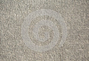 White curled sheep fur texture as background