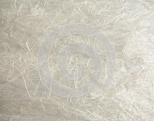 White curled sheep fur texture as background