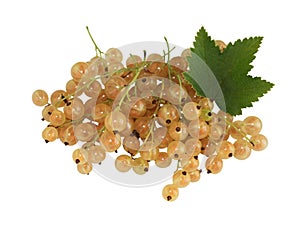 White currant