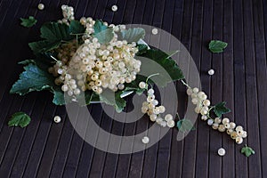 White currant berries among green foliage on a dark wooden background. Concept of food, harvest