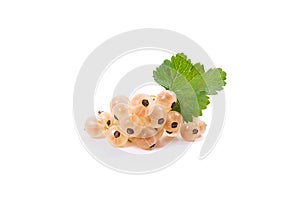 White currant berry isolated on white. A bunch of white currant