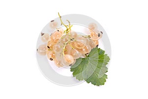White currant berry isolated on white. A bunch of white currant