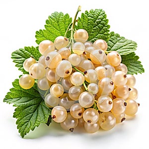 White currant bunch on white background