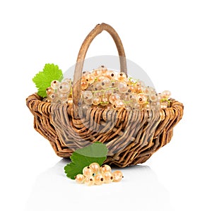 White currant fruit in a wicker