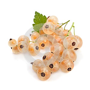 White currant