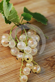 White currant