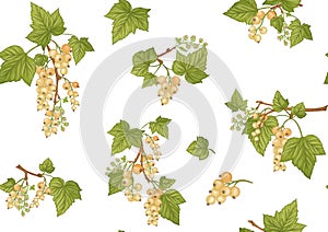 White currant red ribes. Ripe berries. Seamless pattern, background.